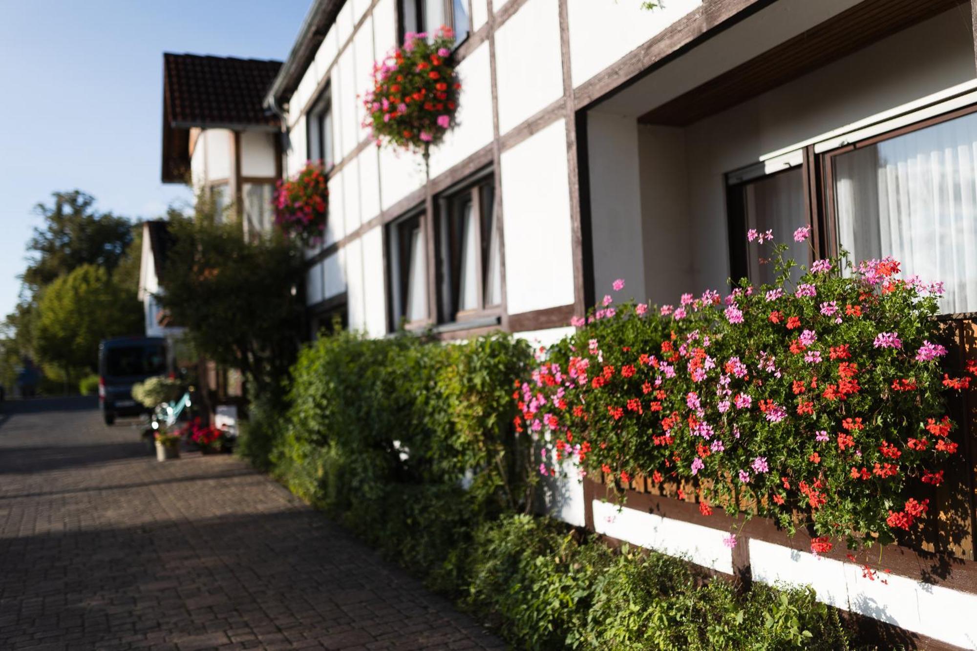 Pension Ridder Marienmünster Exteriér fotografie