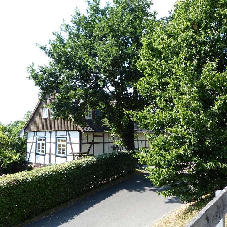 Pension Ridder Marienmünster Exteriér fotografie